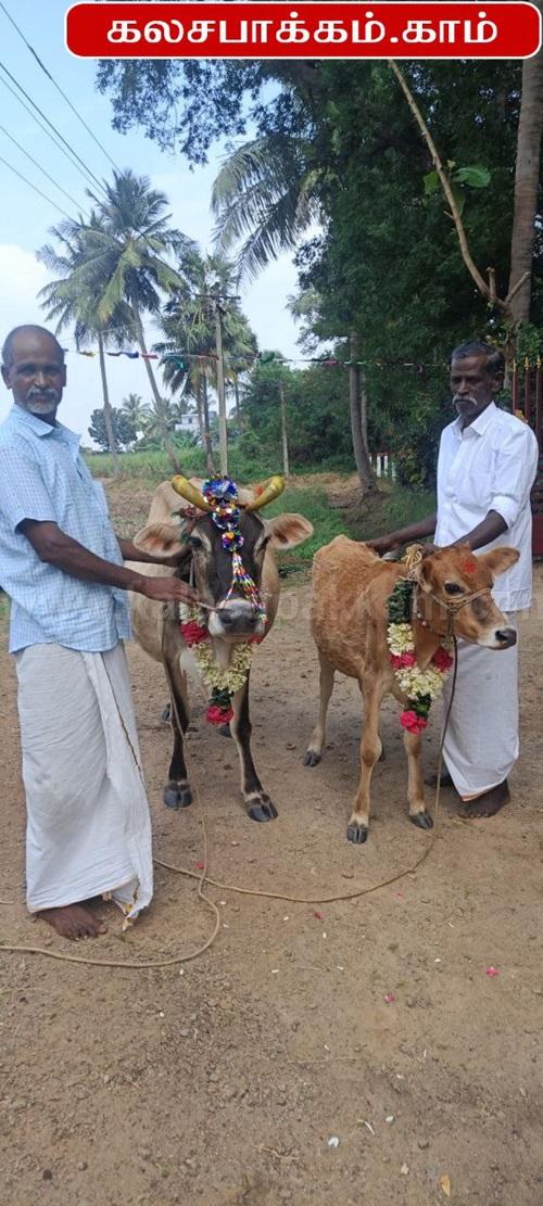 Pongal 2025 Celebrated at JB Soft System, Kalasapakkam