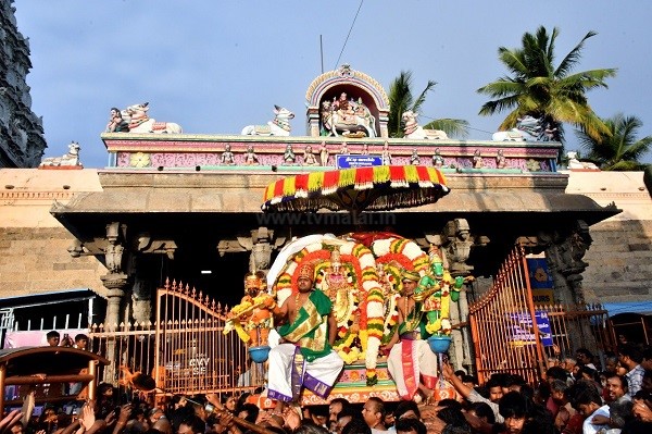 அண்ணாமலையார் கோவிலில் மாட்டுப்பொங்கலை முன்னிட்டு பெரிய நந்தி பகவானுக்கு சிறப்பு அலங்காரம்!